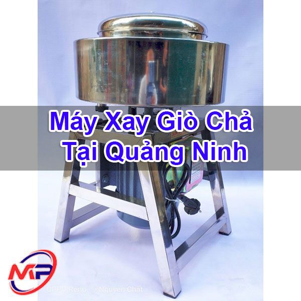 Máy Xay Giò Chả Tại Quảng Ninh