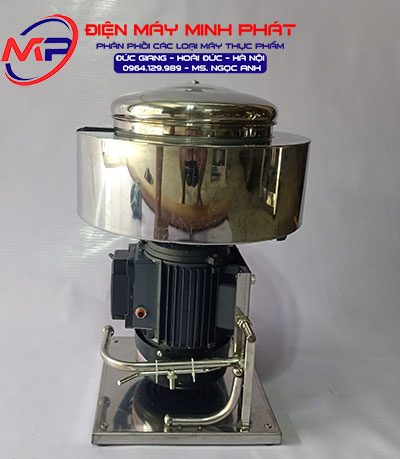 Máy Xay Giò Chả 1KG 1.1KW Có Bao Đá Chân Inox Điện 110V