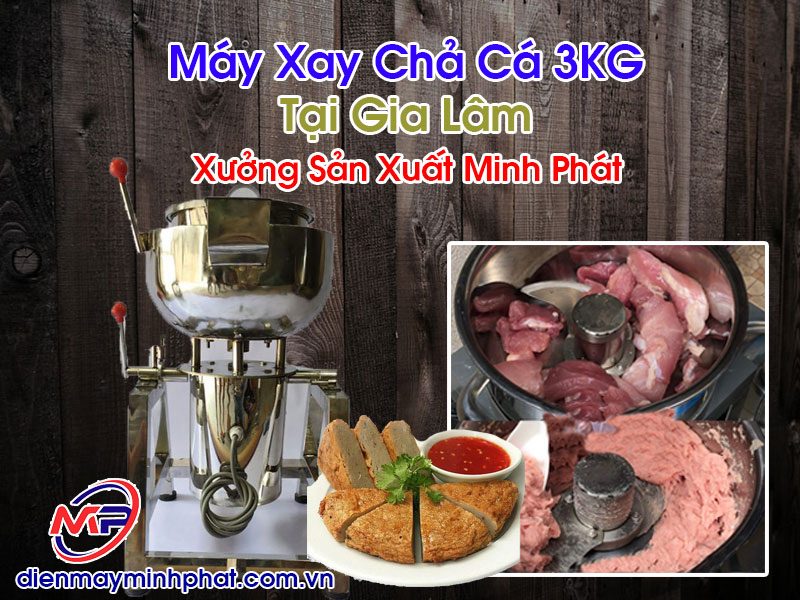 Máy Xay Chả Cá 3KG Tại Gia Lâm Máy Xay Chả Cá 3KG Tại Gia Lâm