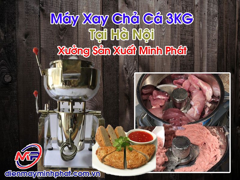 Máy Xay Chả Cá 3KG Tại Hà Nội
